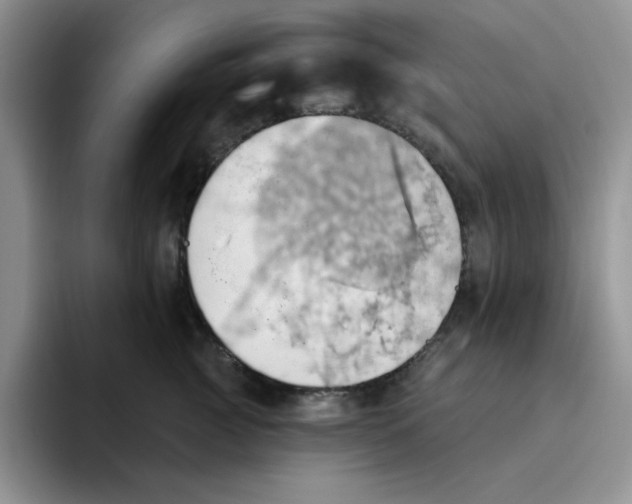 X0000093520761200711091739