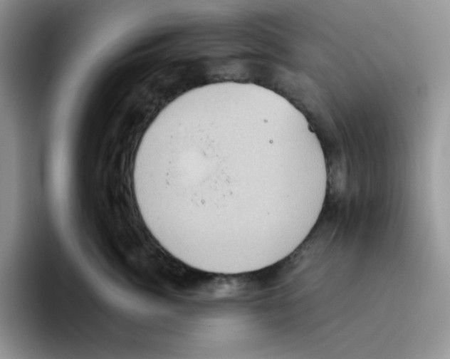 X0000093520764200711091739