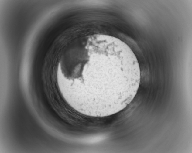 X0000093520765200711091739