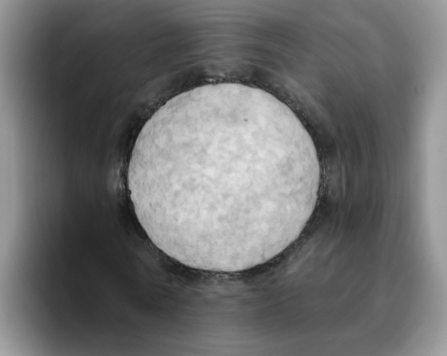 X0000093520770200711091739