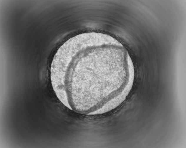 X0000093520776200711091739