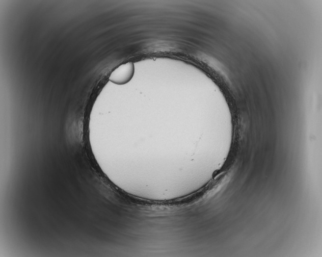 X0000093520777200711091739