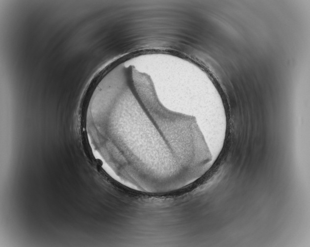 X0000093520779200711091739