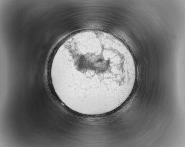 X0000093520780200711091739