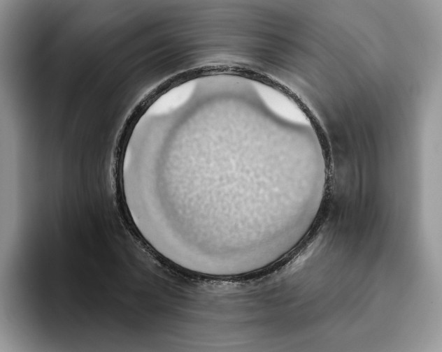 X0000093520783200711091739