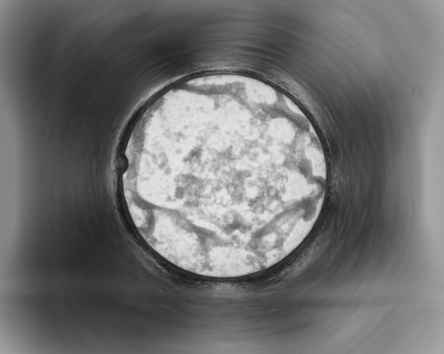 X0000093520787200711091738