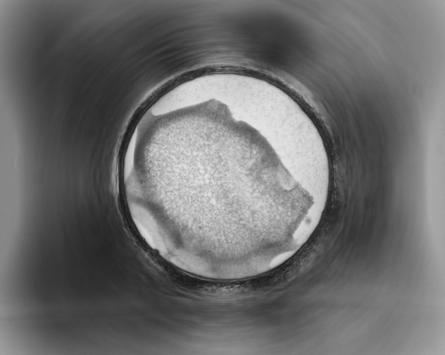 X0000093520791200711091738