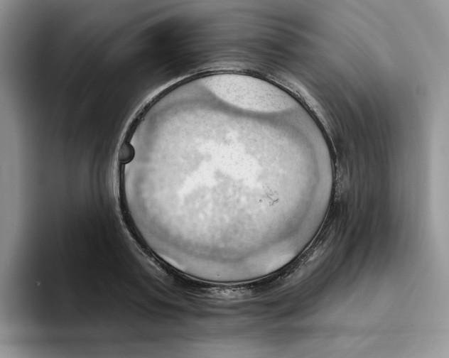 X0000093520795200711091738