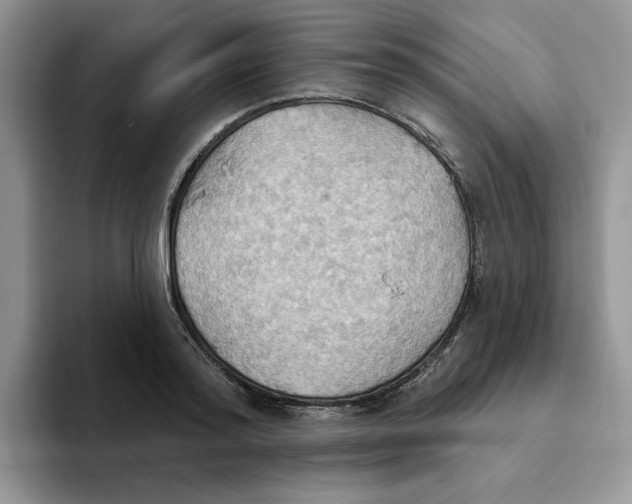 X0000093520796200711091738