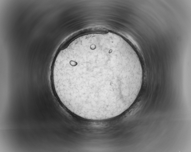 X0000093520799200711091738