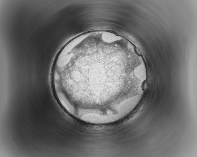 X0000093520803200711091738