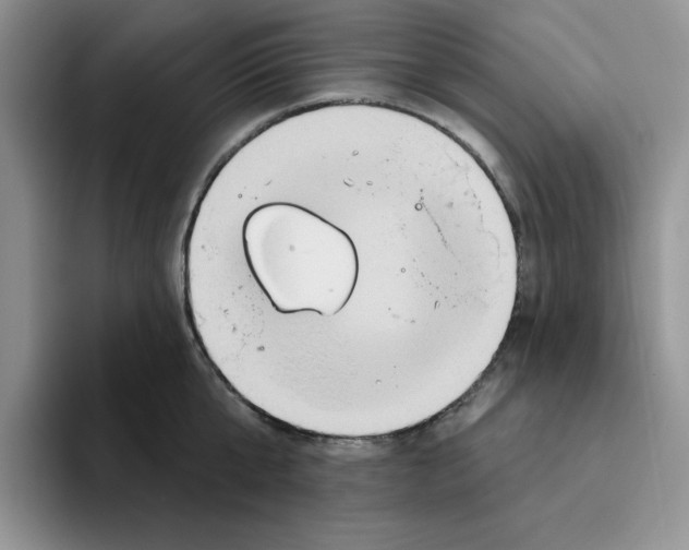 X0000093520807200711091738