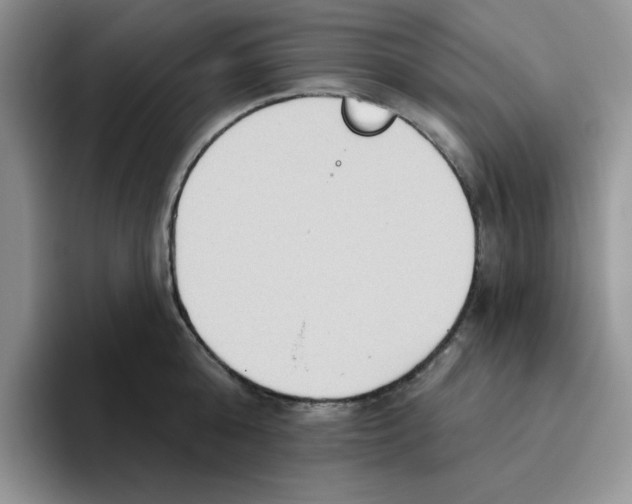 X0000093520808200711091738