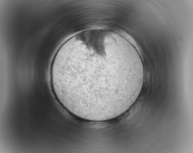 X0000093520811200711091738