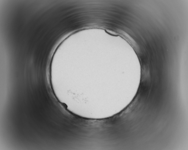 X0000093520812200711091738