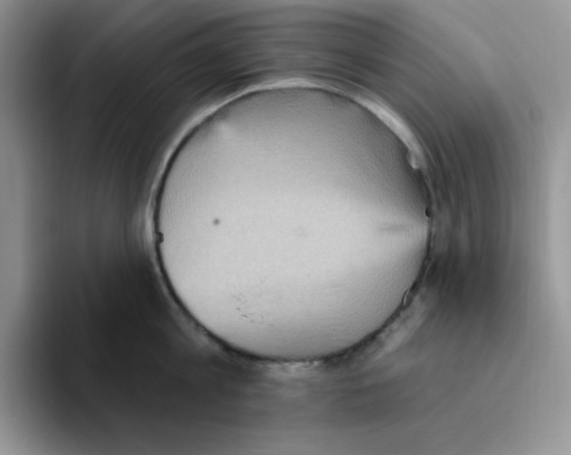 X0000093520813200711091738