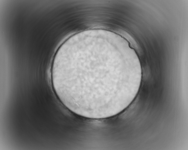 X0000093520814200711091738