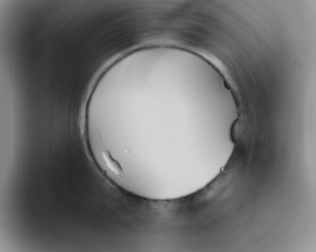 X0000093520815200711091738