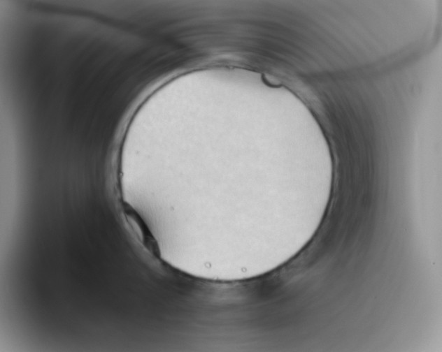 X0000093520816200711091738