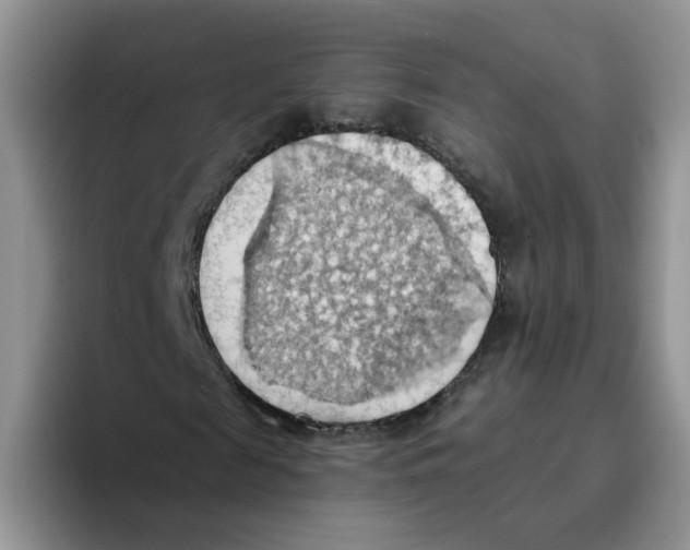 X0000093520817200711091738