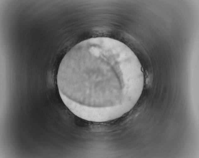 X0000093520819200711091738