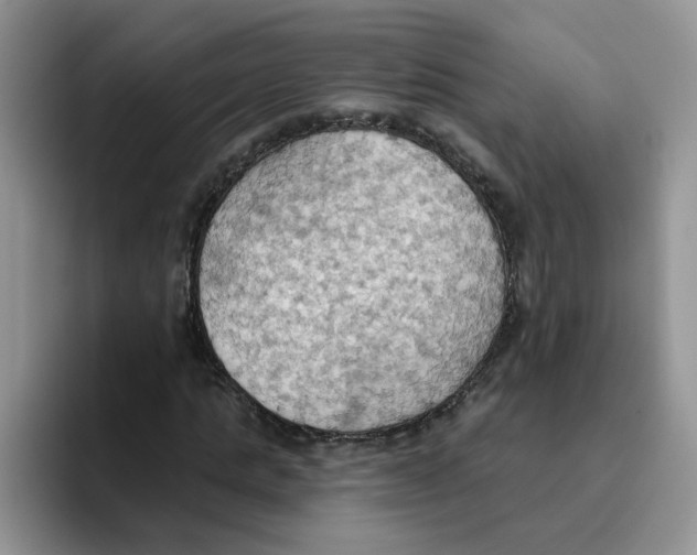 X0000093520821200711091738