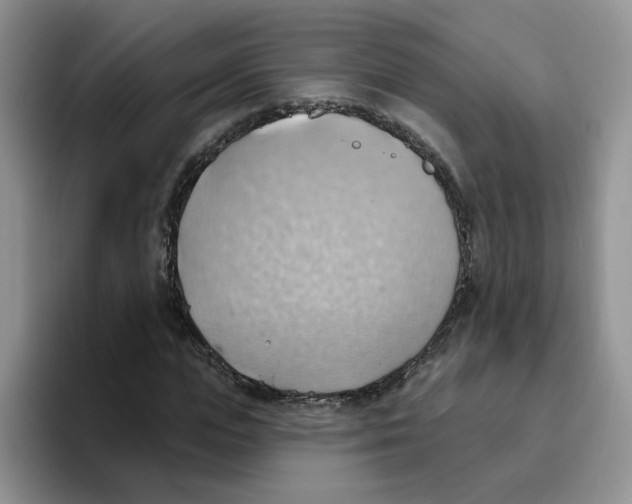 X0000093520823200711091738