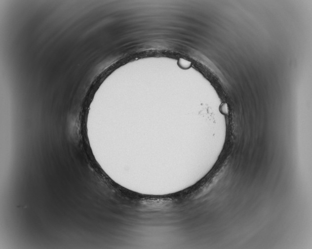 X0000093520826200711091738