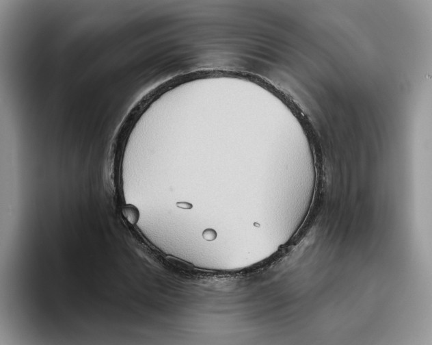 X0000093520830200711091738