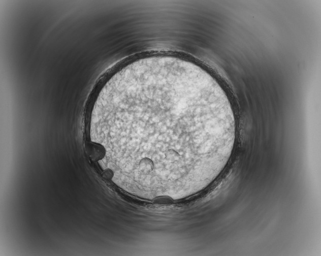 X0000093520831200711091738