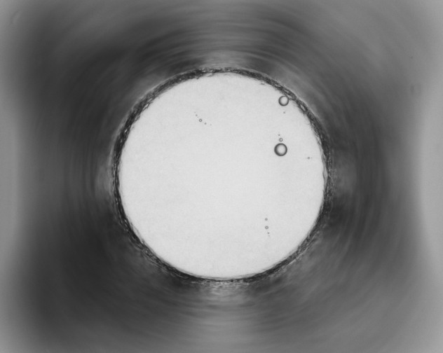 X0000093520832200711091738