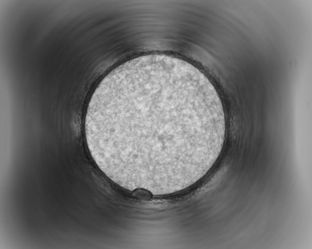 X0000093520833200711091738