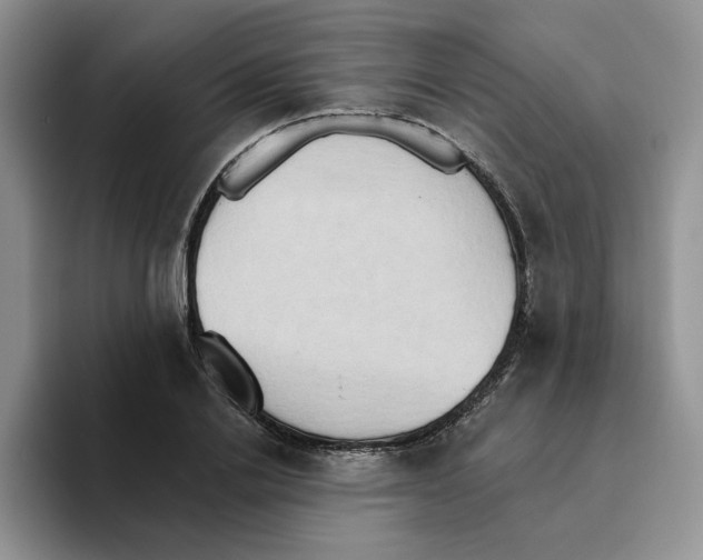 X0000093520838200711091738