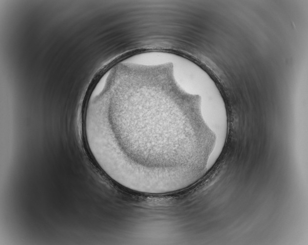 X0000093520840200711091738