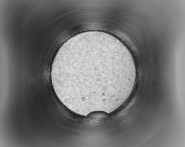 X0000093520841200711091738