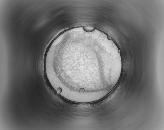 X0000093520844200711091738