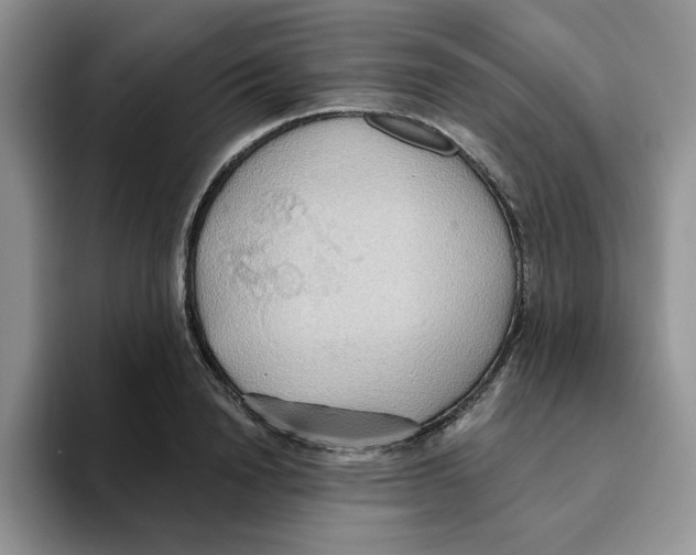 X0000093520846200711091738