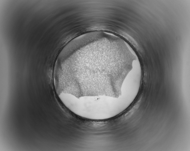 X0000093520849200711091738