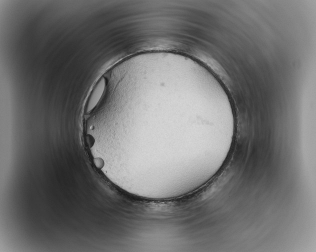 X0000093520850200711091738