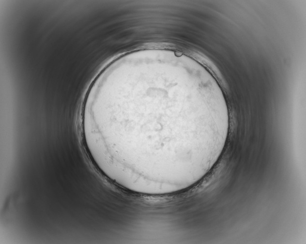 X0000093520852200711091738