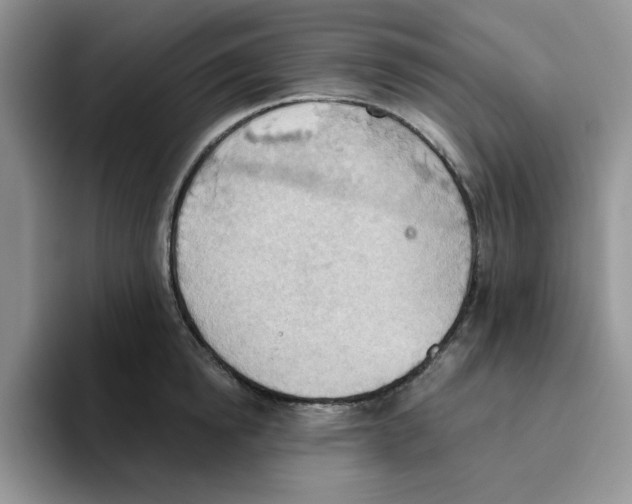 X0000093520854200711091738