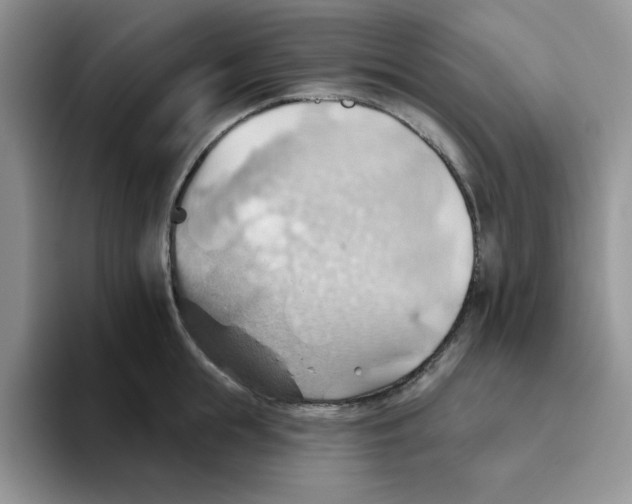 X0000093520855200711091738