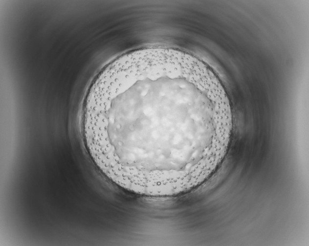 X0000093520856200711091738