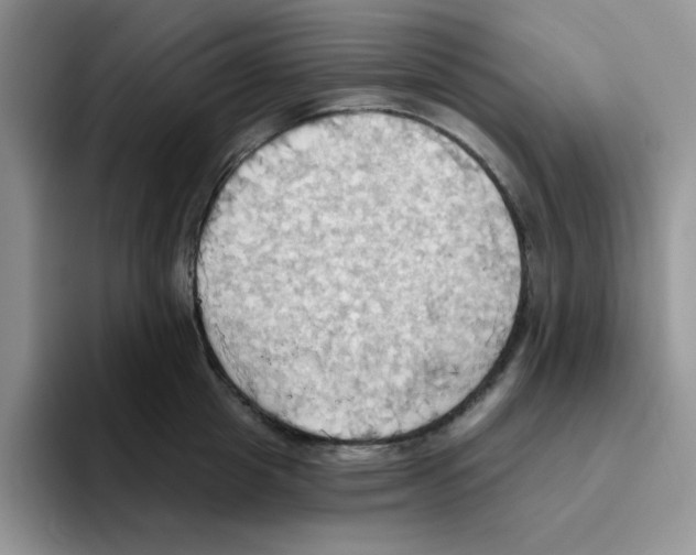 X0000093520857200711091738