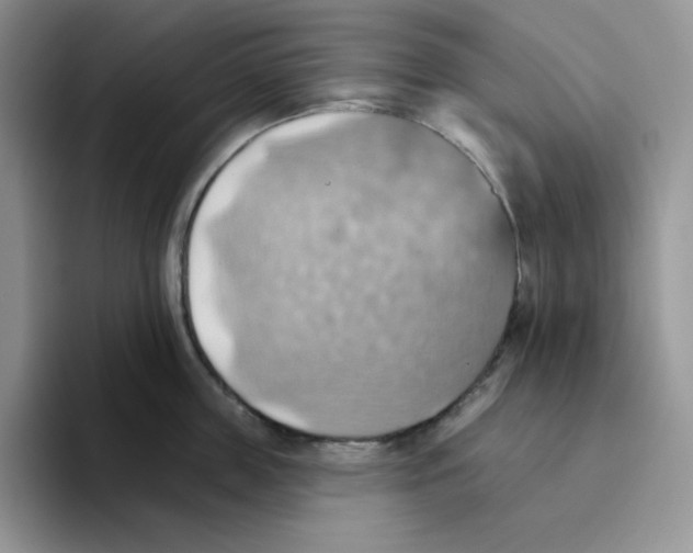 X0000093520859200711091738