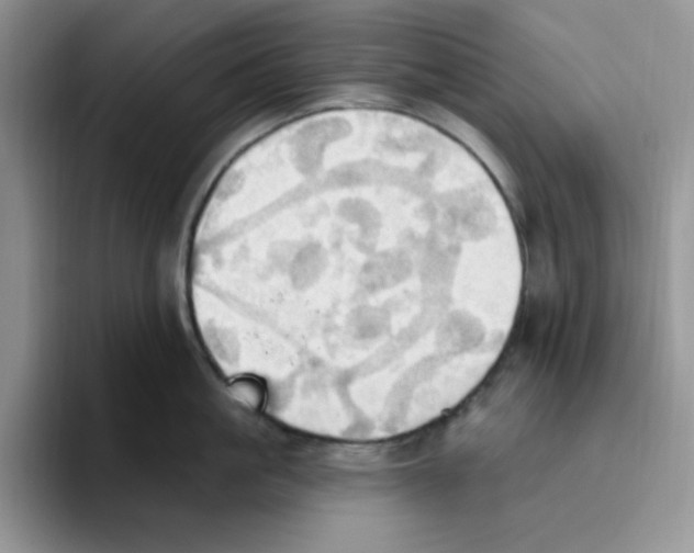 X0000093520861200711091738