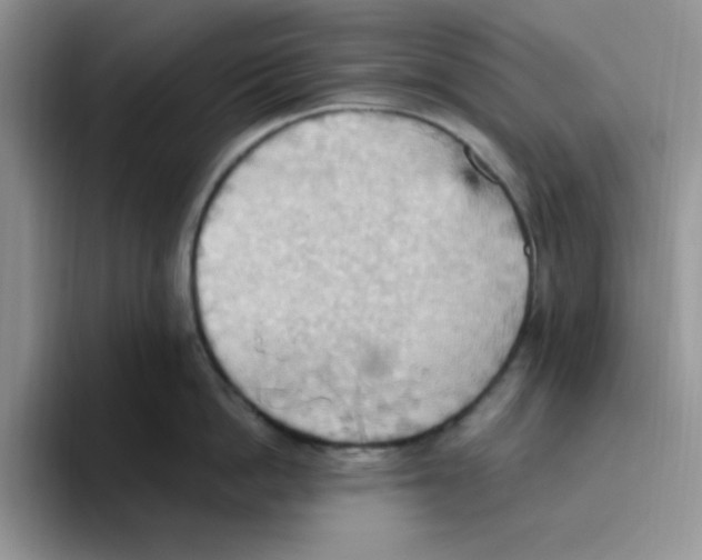 X0000093520862200711091738