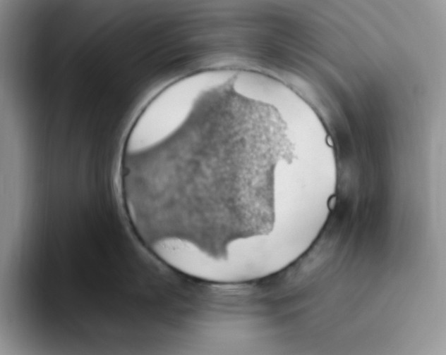 X0000093520863200711091738