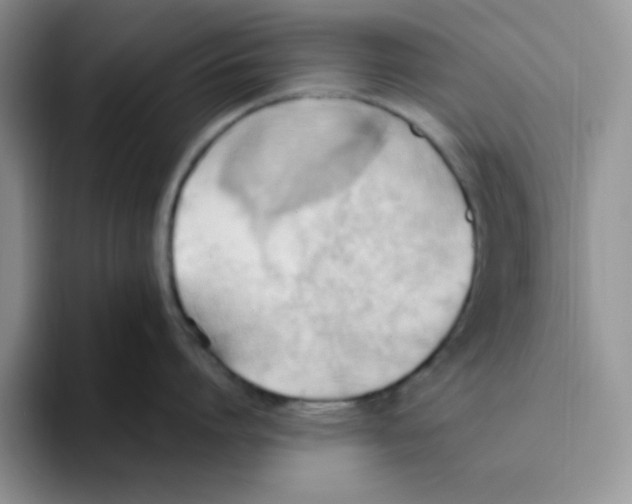 X0000093520864200711091738