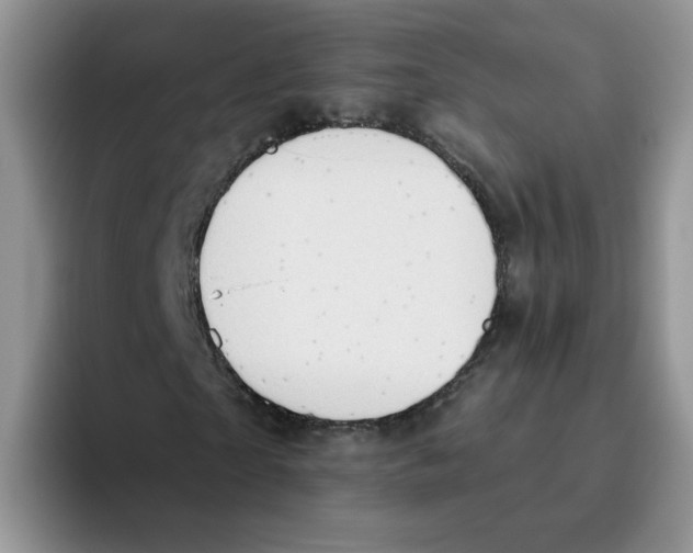 X0000093520865200711091738